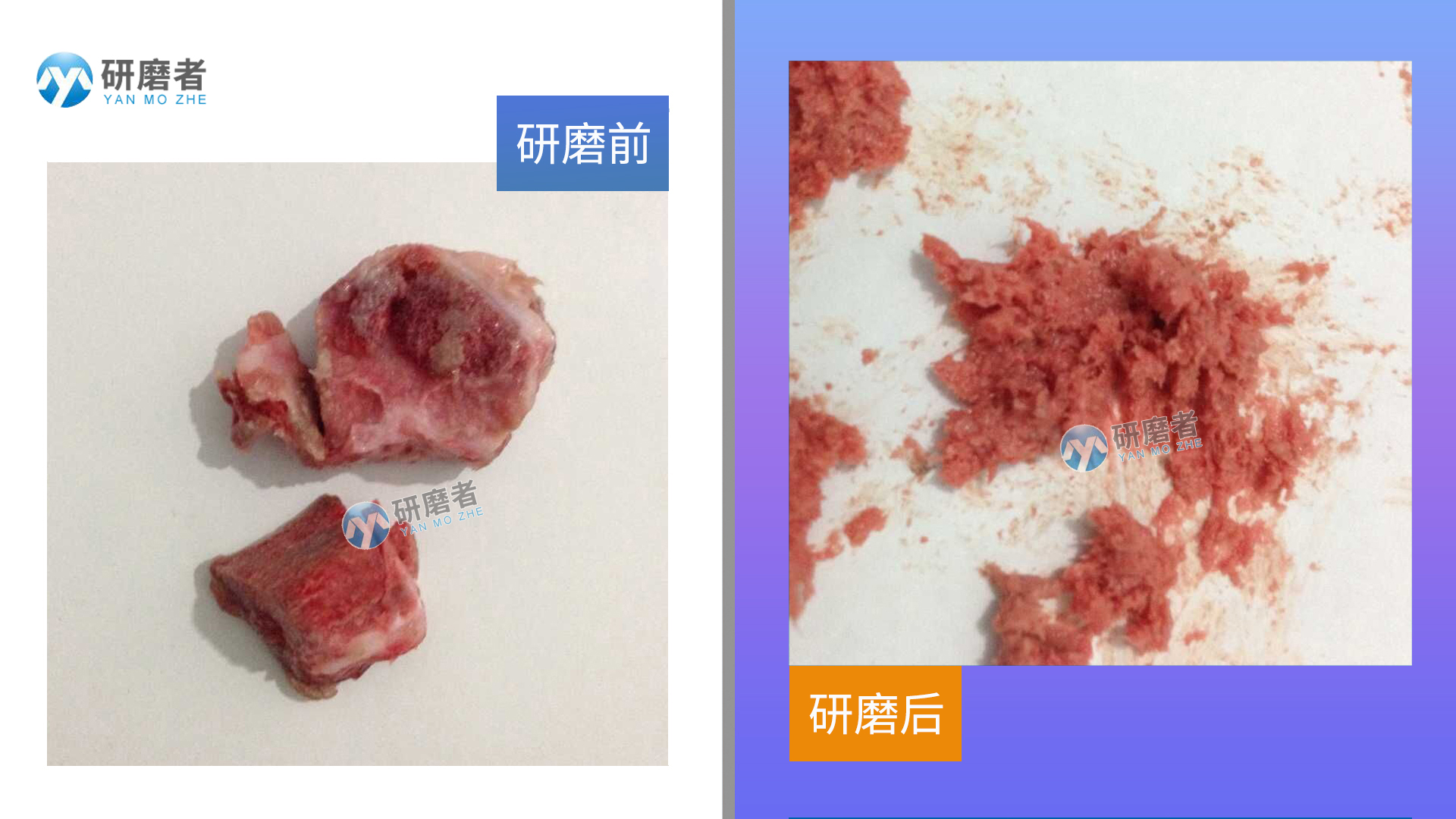 多樣品組織研磨儀研磨一